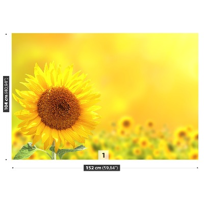 Zelfklevend fotobehang Gele zonnebloemen