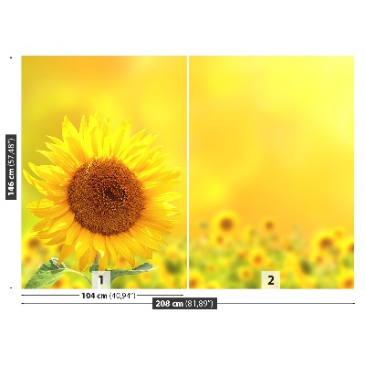 Zelfklevend fotobehang Gele zonnebloemen