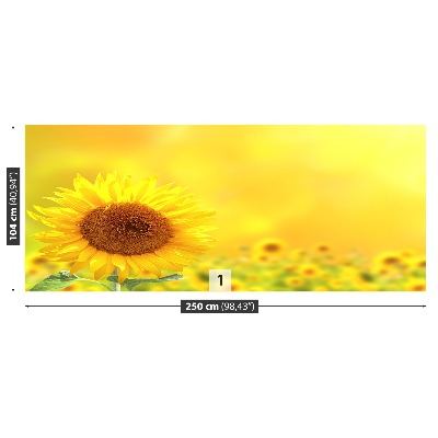 Zelfklevend fotobehang Gele zonnebloemen