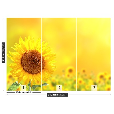 Zelfklevend fotobehang Gele zonnebloemen