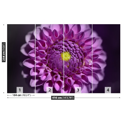 Zelfklevend fotobehang Dahlia roze