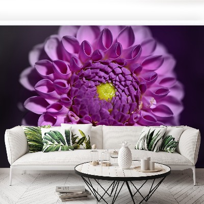 Zelfklevend fotobehang Dahlia roze