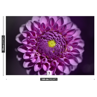 Zelfklevend fotobehang Dahlia roze