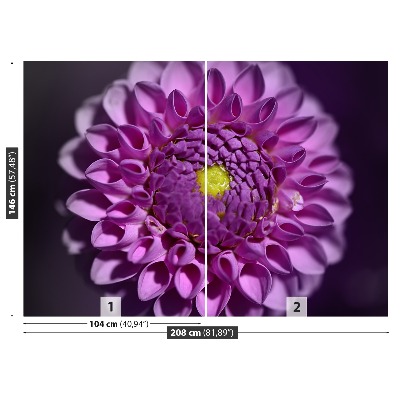 Zelfklevend fotobehang Dahlia roze