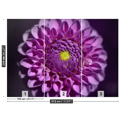 Zelfklevend fotobehang Dahlia roze