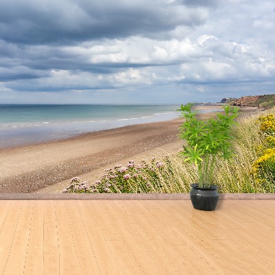 Fotobehang Strandkust