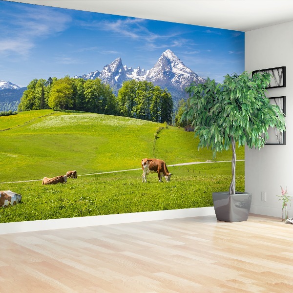 Fotobehang Alpes koe