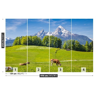 Fotobehang Alpes koe