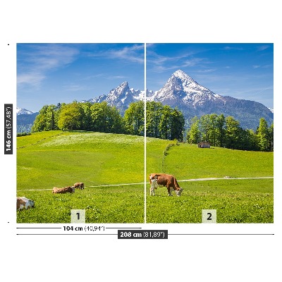 Fotobehang Alpes koe