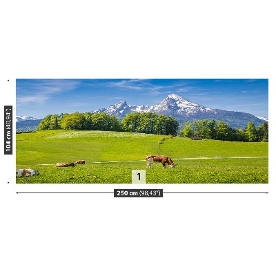 Fotobehang Alpes koe