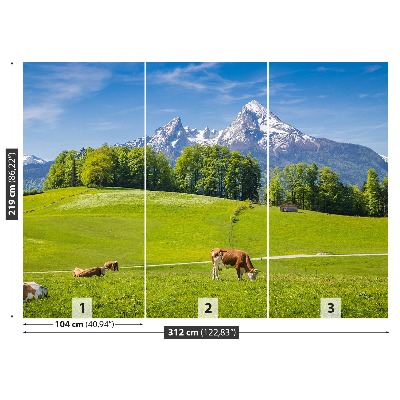 Fotobehang Alpes koe