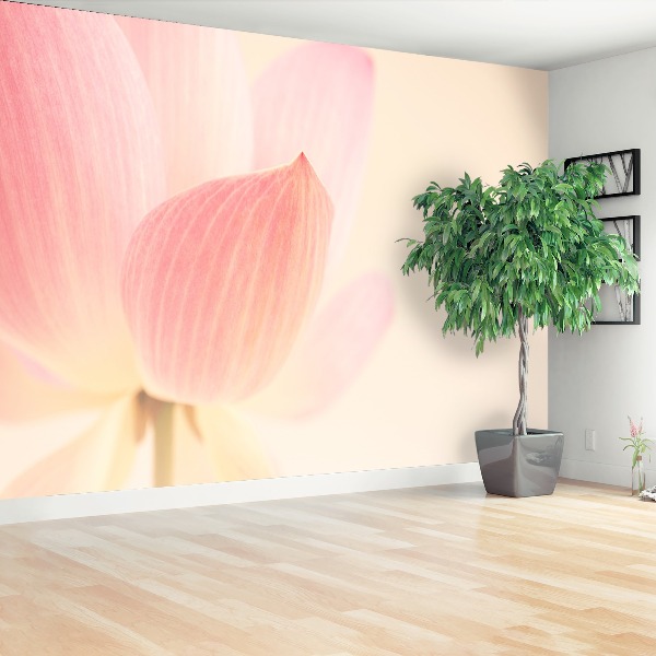 Zelfklevend fotobehang Roze lotusbloem