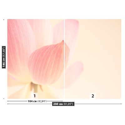 Zelfklevend fotobehang Roze lotusbloem