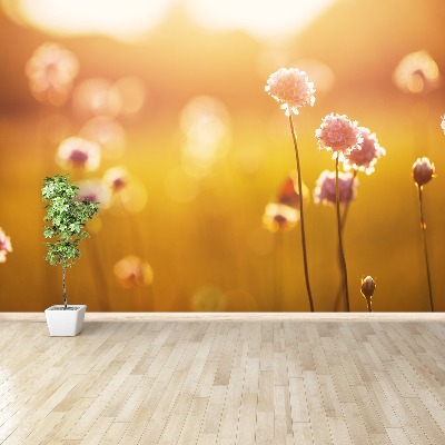 Zelfklevend fotobehang Roze bloemen