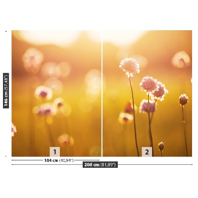 Zelfklevend fotobehang Roze bloemen