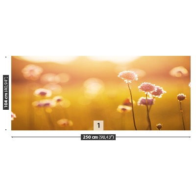 Zelfklevend fotobehang Roze bloemen