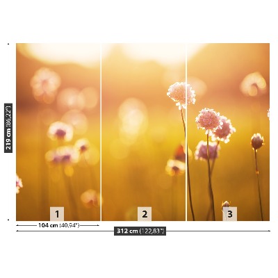 Zelfklevend fotobehang Roze bloemen