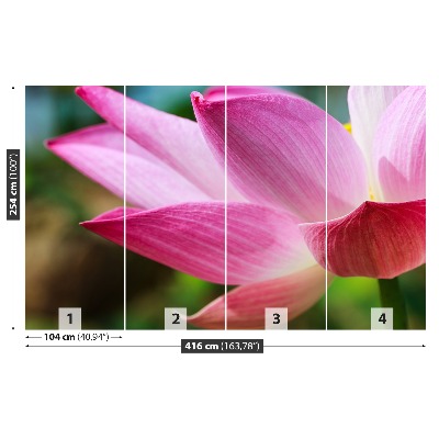 Zelfklevend fotobehang Roze lotusbloem