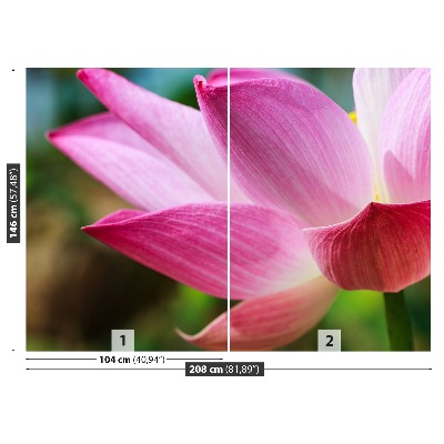 Zelfklevend fotobehang Roze lotusbloem