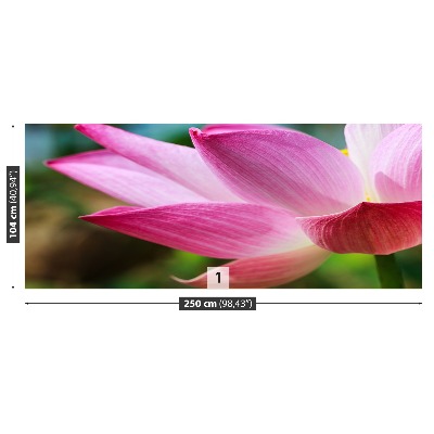 Zelfklevend fotobehang Roze lotusbloem