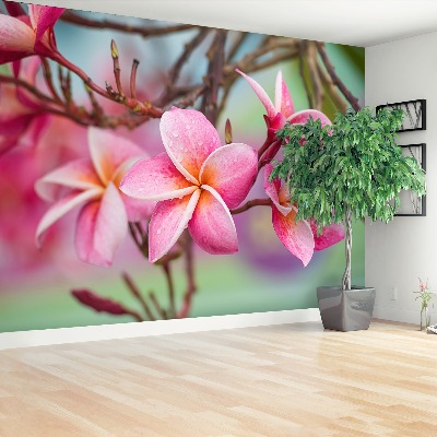 Zelfklevend fotobehang Frangipani roze