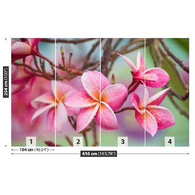 Zelfklevend fotobehang Frangipani roze