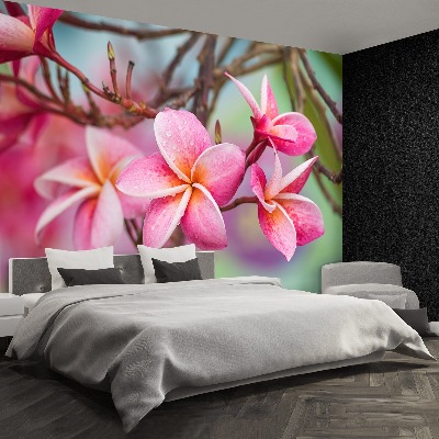 Zelfklevend fotobehang Frangipani roze