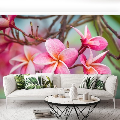 Zelfklevend fotobehang Frangipani roze