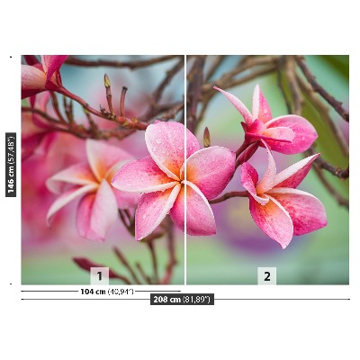 Zelfklevend fotobehang Frangipani roze