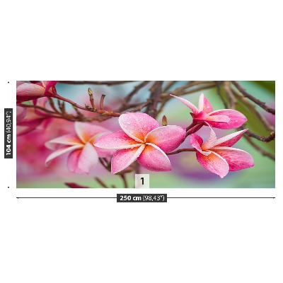 Zelfklevend fotobehang Frangipani roze