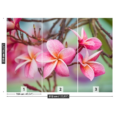 Zelfklevend fotobehang Frangipani roze