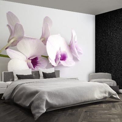 Zelfklevend fotobehang Witte orchideeën