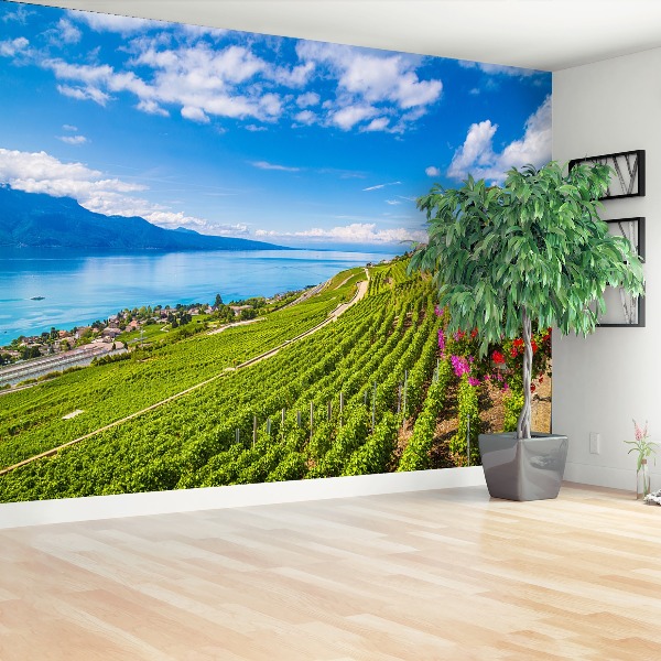 Fotobehang Vineyards-terrassen