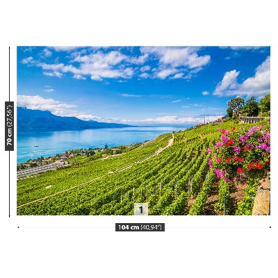 Fotobehang Vineyards-terrassen