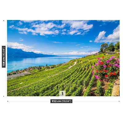 Fotobehang Vineyards-terrassen