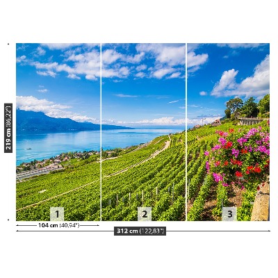 Fotobehang Vineyards-terrassen