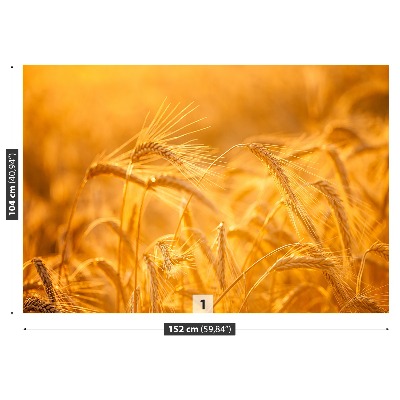 Zelfklevend fotobehang Tarwe veld