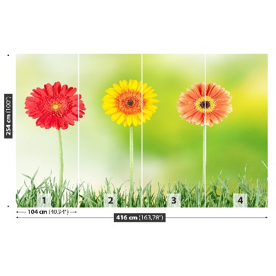 Zelfklevend fotobehang Gerbera