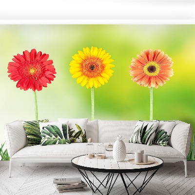 Zelfklevend fotobehang Gerbera