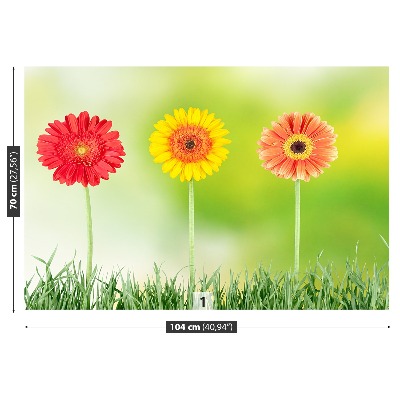 Zelfklevend fotobehang Gerbera