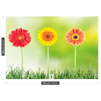 Zelfklevend fotobehang Gerbera