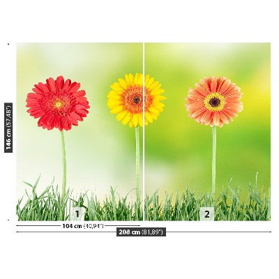 Zelfklevend fotobehang Gerbera