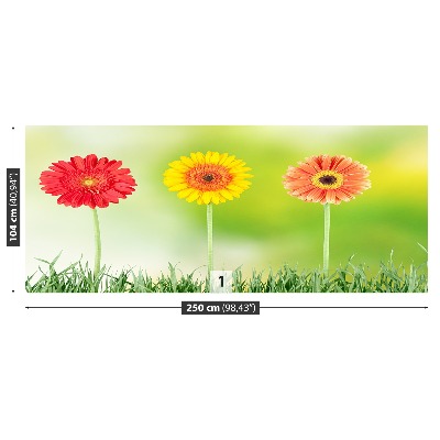 Zelfklevend fotobehang Gerbera