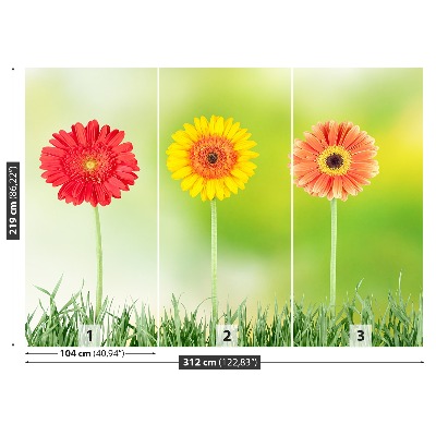 Zelfklevend fotobehang Gerbera