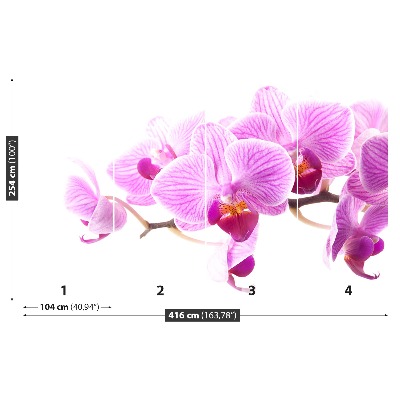 Zelfklevend fotobehang Roze orchidee