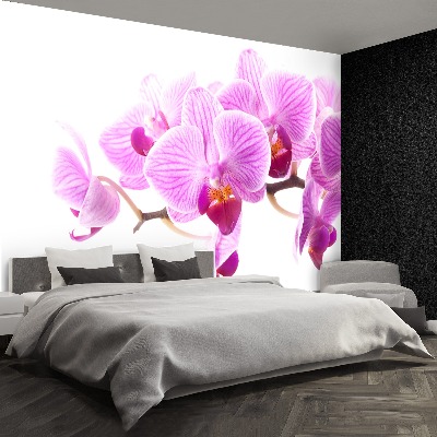 Zelfklevend fotobehang Roze orchidee