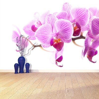 Zelfklevend fotobehang Roze orchidee