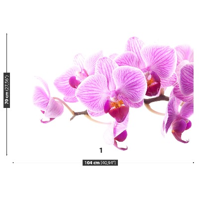 Zelfklevend fotobehang Roze orchidee