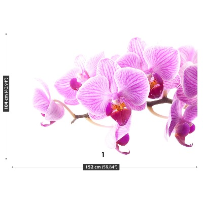 Zelfklevend fotobehang Roze orchidee