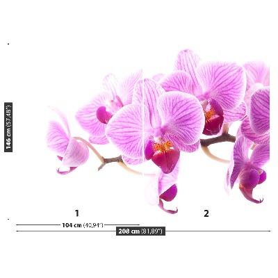 Zelfklevend fotobehang Roze orchidee